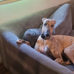 Logo Jb2 catering co llc