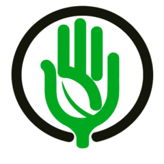 Logo prepLIFE Foundation