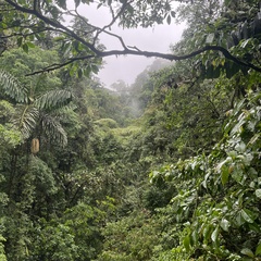 Logo Durango Kitchen Meghan's Test